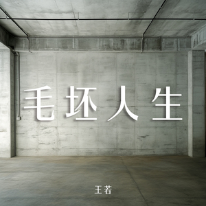 毛坯人生 (柔和版)