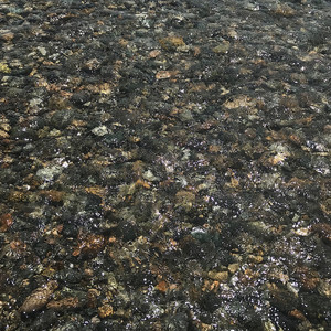 流れゆくもの