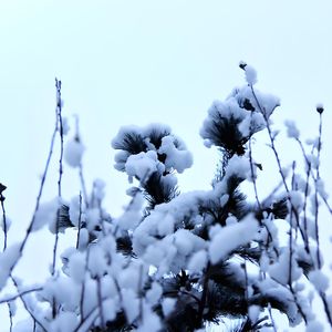 《月光下的呢喃》