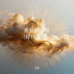 最好的安排   (Cover 苏星婕)