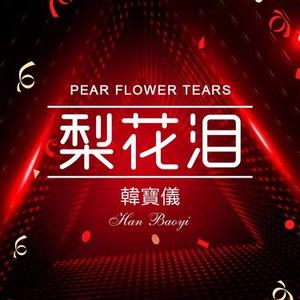 梨花泪 (DJ版)