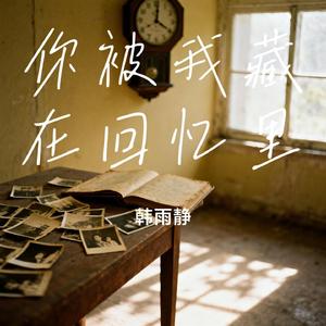 你被我藏在回忆里