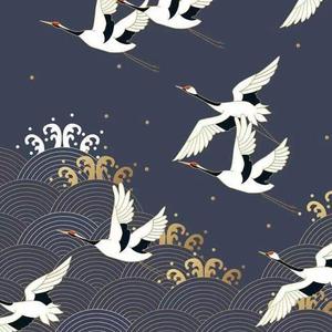 【FREE】国风 TYPE BEAT