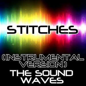 Stitches
