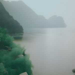 Enjoy the Serenity of Wind and Rain Sounds for Mindful Meditation