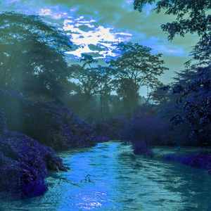 抚慰的深度专注回忆