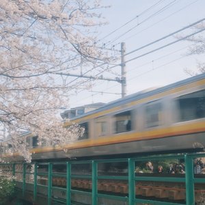 承诺是烟火美在坠落那一刻