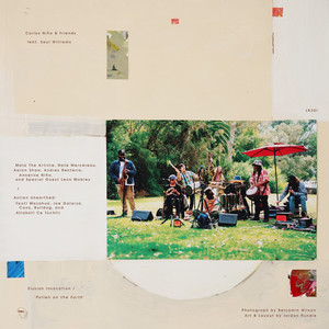 "Pollen on the Earth"