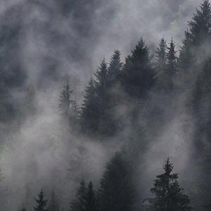 Rain love（雨爱）