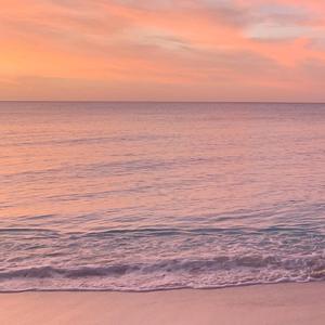 一直在＆i will always with you