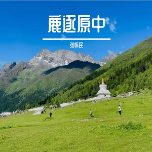 短纸长情