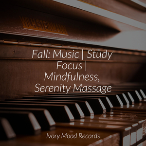 Midnight Enchantment Melody