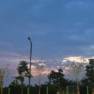 迷茫的魂 孤独的影