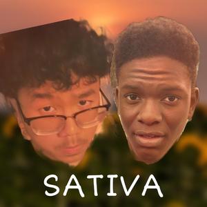 Sativa (feat. KR!ZZ)
