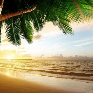 啊拉雷狂想乐第11