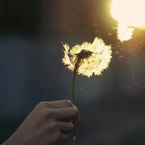 粉红色的乔丽娜-初版