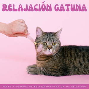 Paisajes Sonoros De Relajación De Gato