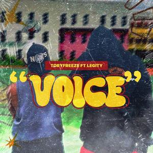 Voice (feat. Legity)
