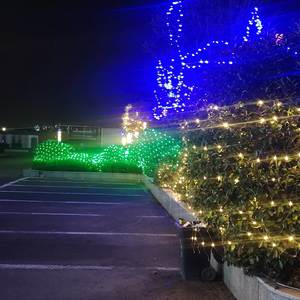 不要伤害爱你的人