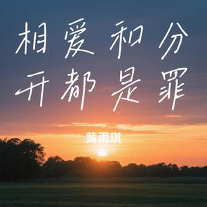 相爱和分开都是罪