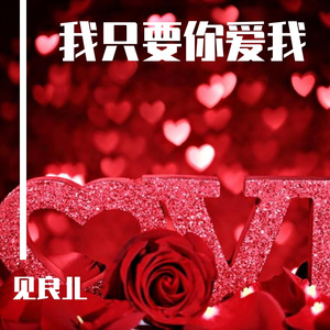 我只要你爱我