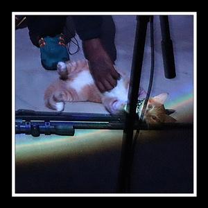 How To Rap For DUMMIES (bonus track)