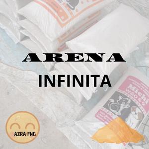 ARENA INFINITA