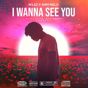 I wanna see you (feat. SNM MELO)