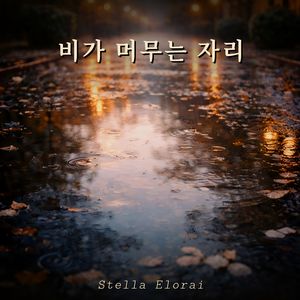 비가 머무는 자리