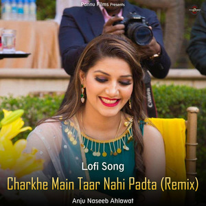 Charkhe Main Taar Nahi Padta (lofi remix)