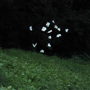 she's "not like them"