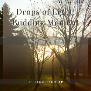 光の雫、芽吹くとき