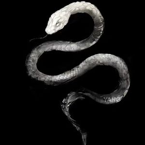 其实我退烧药吃傻了(prod undislove）