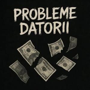 Probleme datorii