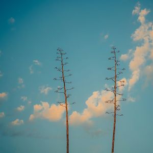 远方的光（治愈）