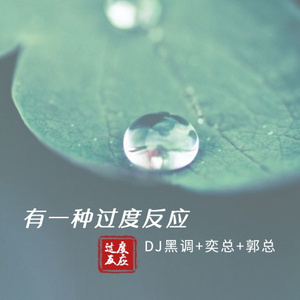 你像一只飞鸟