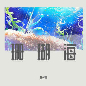 陆长青-因为有你的夏天