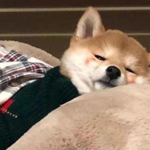 人啊
