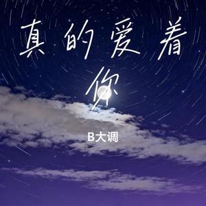 真的爱着你 (B大调 Remix)