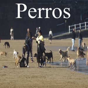 Perros
