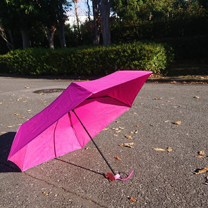 天気雨に降られて