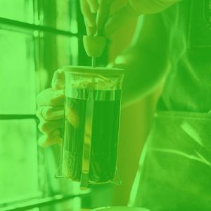 抚慰的午餐回忆