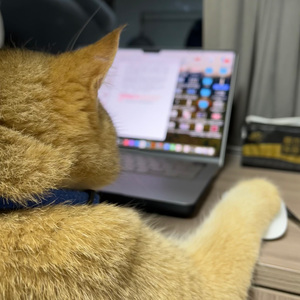 社畜的日常发疯