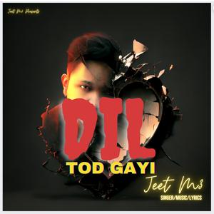 Dil Tod Gayi