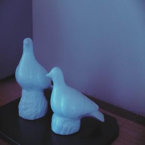 Maybe I'll Love You One Day いつか私はあなたを愛するかもしれない