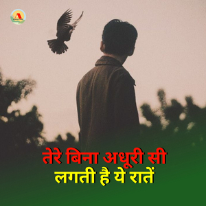 तेरे बिना अधूरी सी लगती है ये रातें