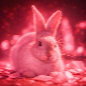 Häschenparty (nightcore)