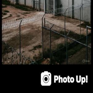 Hang down your head Tex