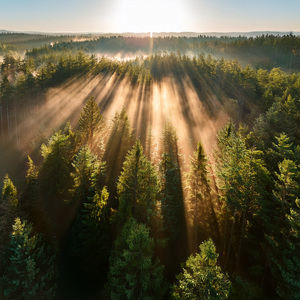 Spirals Beneath The Sunshade