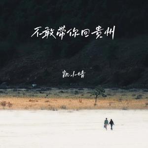 不敢带你回贵州 (伴奏)